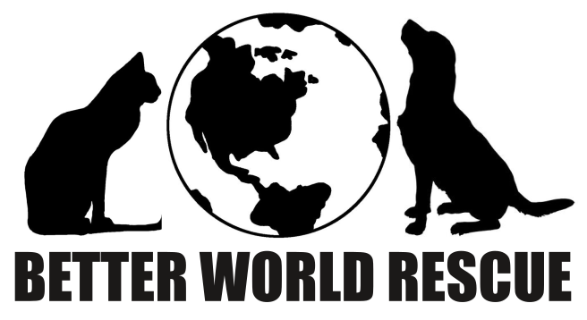 Better World Rescue